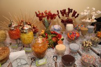 /album/galeria-de-fotos-casamento-de-juliana-nicolas/j-n-1650-jpg1/